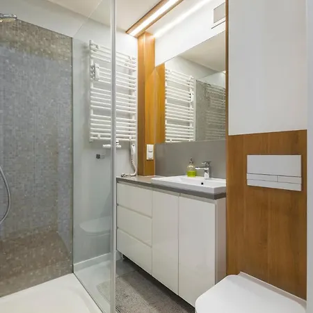 Oomph Wroclaw Old Town Apartment Apartment *